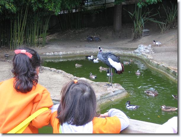 Diapositiva siguiente